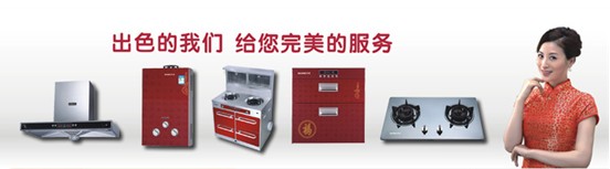 著名廚衛(wèi)電器品牌