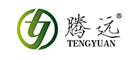 騰遠(yuǎn)
