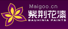 紫荊花Bauhinia