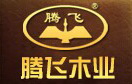 騰飛