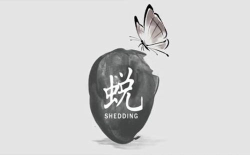 I(y)Δ[ÓF(xin) Oɵ