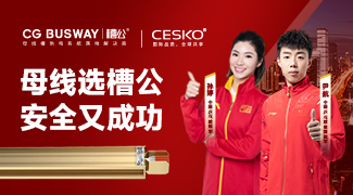 槽公